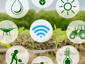Agriculture & Allied Services