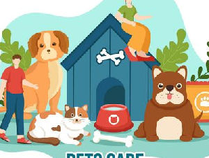 Pets & Animal Care